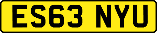 ES63NYU