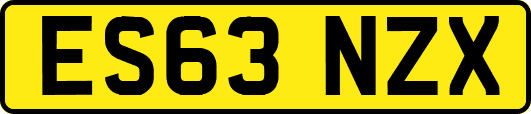 ES63NZX