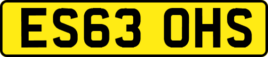 ES63OHS