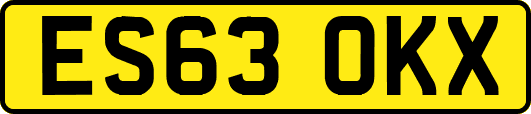 ES63OKX