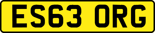ES63ORG