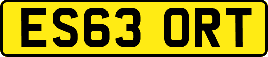 ES63ORT