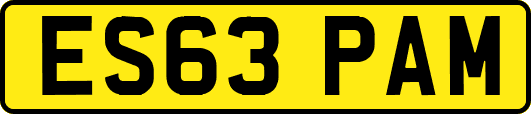 ES63PAM
