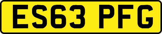 ES63PFG