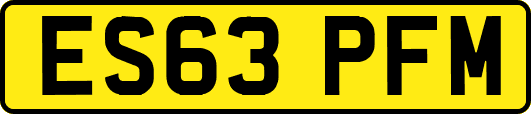 ES63PFM