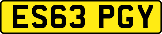 ES63PGY