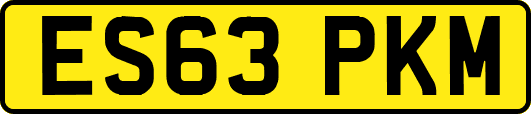ES63PKM
