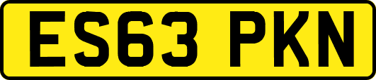 ES63PKN