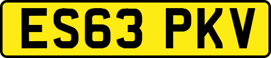 ES63PKV