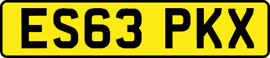 ES63PKX