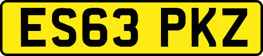 ES63PKZ