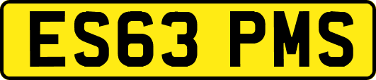 ES63PMS
