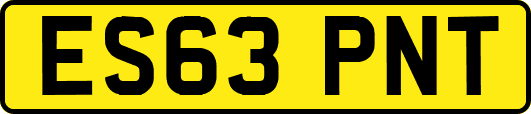 ES63PNT