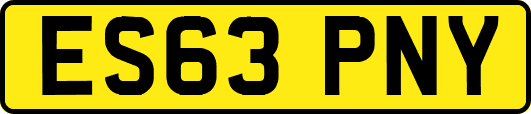 ES63PNY