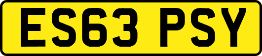 ES63PSY