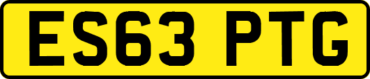 ES63PTG