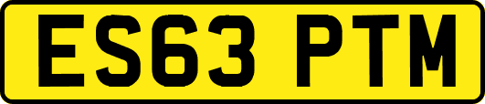 ES63PTM