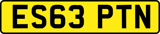 ES63PTN