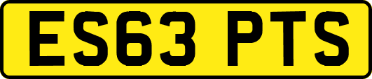 ES63PTS