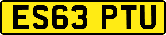 ES63PTU