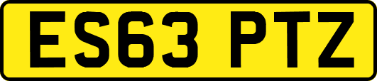 ES63PTZ