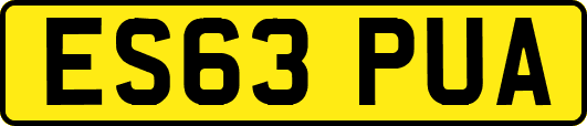 ES63PUA