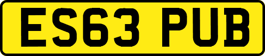 ES63PUB