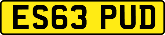 ES63PUD