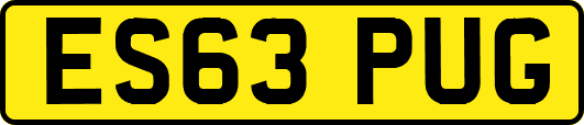 ES63PUG