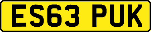 ES63PUK