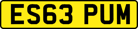 ES63PUM