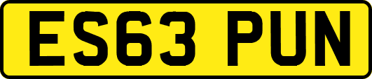 ES63PUN