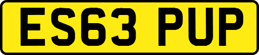 ES63PUP