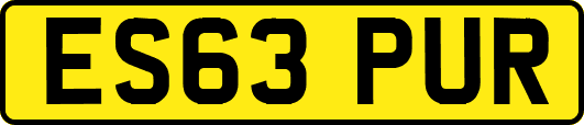 ES63PUR