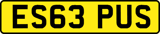 ES63PUS
