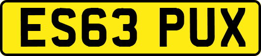 ES63PUX