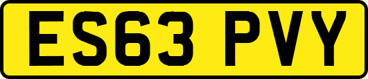 ES63PVY