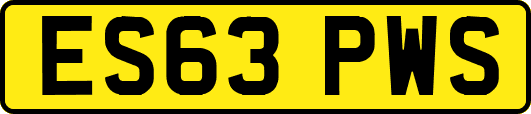 ES63PWS