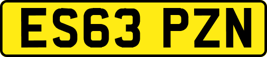 ES63PZN