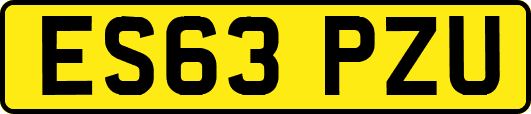 ES63PZU