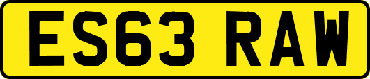 ES63RAW