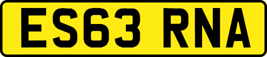 ES63RNA