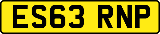 ES63RNP