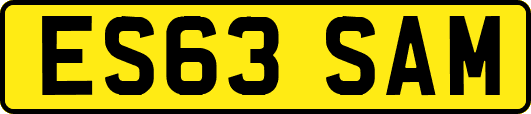 ES63SAM