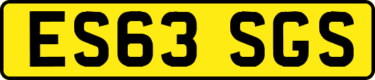 ES63SGS