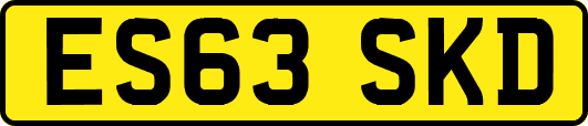 ES63SKD