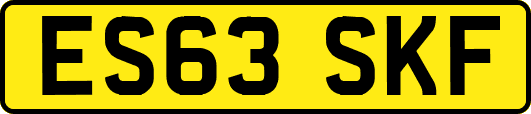 ES63SKF