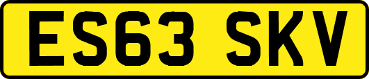 ES63SKV