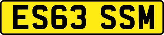 ES63SSM