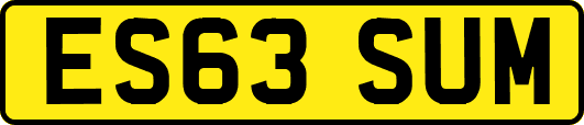 ES63SUM